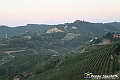 VBS_5492 - C'è un mare di velluto verde! E tu che sognavi di andare lontano... Quanta meraviglia, quì!